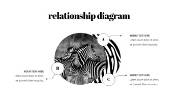 얼룩말 스타트업 PPT 템플릿_16