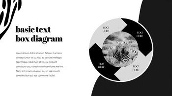 얼룩말 스타트업 PPT 템플릿_17