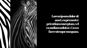 얼룩말 스타트업 PPT 템플릿_20