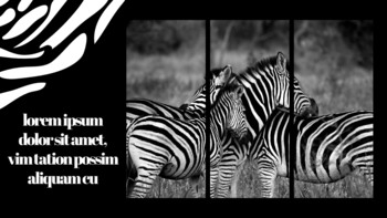 얼룩말 스타트업 PPT 템플릿_26