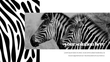 얼룩말 스타트업 PPT 템플릿_28