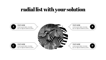 얼룩말 스타트업 PPT 템플릿_38