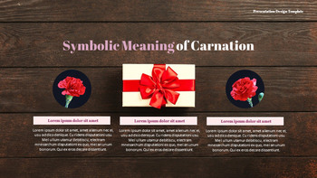 Carnation Flower and Gift Best Google Slides_05