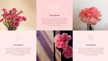 Carnation Flower and Gift Best Google Slides_15