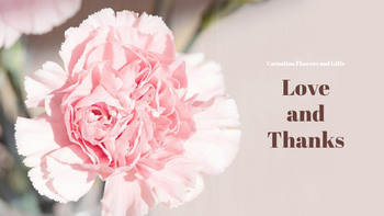 Carnation Flower and Gift Best Google Slides_40