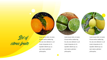 柑橘類 テンプレートPPT_06