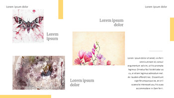 艺术家作品 最佳演示设计_15