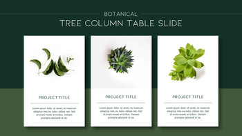 植物 背景PowerPoint._12