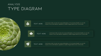 植物 背景PowerPoint._19