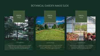 Botanical Google PowerPoint Slides_18