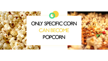 爆米花 PowerPoint甲板设计_10