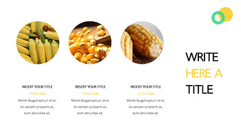 爆米花 PowerPoint甲板设计_25
