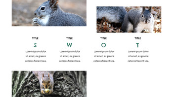 松鼠 轻松幻灯片设计_05