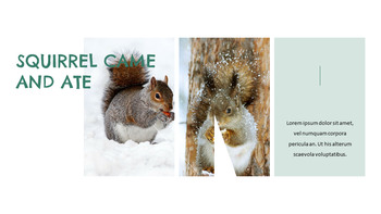 松鼠 轻松幻灯片设计_14