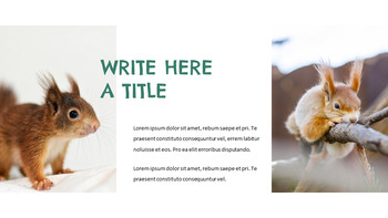 松鼠 轻松幻灯片设计_17