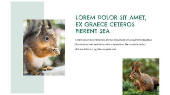 松鼠 轻松幻灯片设计_24