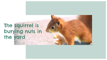 청설모 파워포인트 포맷_08