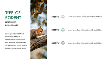 청설모 파워포인트 포맷_22