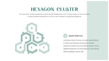 청설모 파워포인트 포맷_35