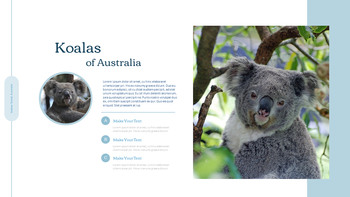 Sydney Travel, Australien Aktionsplan PPT_05