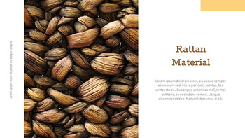 what is rattan? Google Slides mac_06