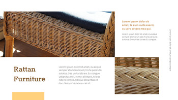 what is rattan? Google Slides mac_07