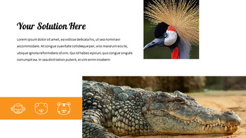 Zoo Präsentationsvorlagen für Google Slides_06