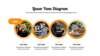 zoo Google Slides Presentation Templates_08