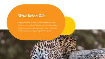 zoo Google Slides Presentation Templates_10