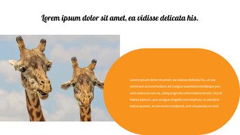 zoo Google Slides Presentation Templates_11