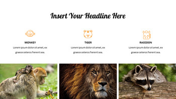 zoo Google Slides Presentation Templates_18