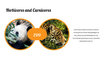 zoo Google Slides Presentation Templates_20