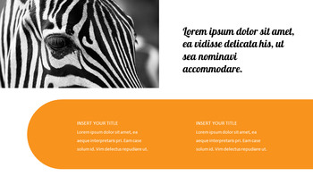 zoo Google Slides Presentation Templates_23