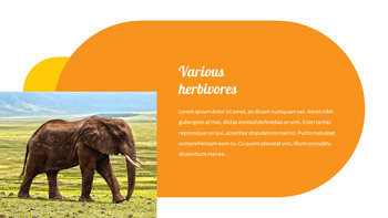 Zoo Präsentationsvorlagen für Google Slides_26