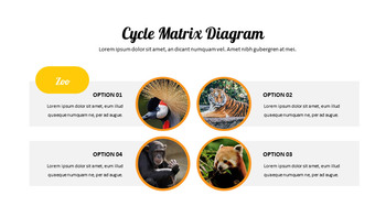 zoo Google Slides Presentation Templates_35