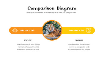 动物园 幻灯片ppt._13