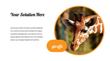 动物园 幻灯片ppt._14