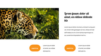 动物园 幻灯片ppt._22