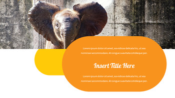 动物园 幻灯片ppt._28