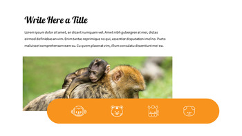 动物园 幻灯片ppt._29