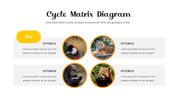 动物园 幻灯片ppt._35