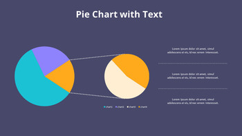 饼图图表列表_09