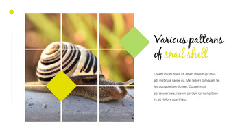 달팽이 슬라이드 PPT_04