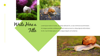 달팽이 슬라이드 PPT_08