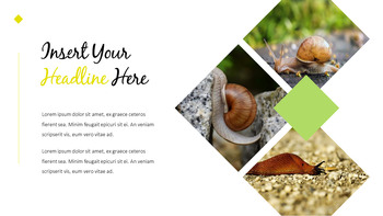 달팽이 슬라이드 PPT_18