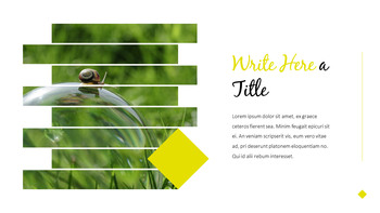 달팽이 슬라이드 PPT_20