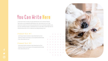 猫犬 ビジネス事業ピピチ_04