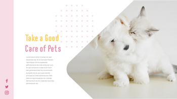 猫犬 ビジネス事業ピピチ_06