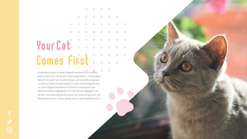 猫犬 ビジネス事業ピピチ_08