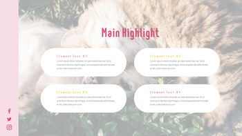 猫犬 ビジネス事業ピピチ_09